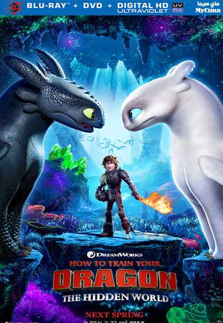 مشاهدة فيلم How to Train Your Dragon: The Hidden World 2019 مترجم