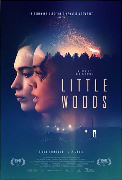 مشاهدة فيلم Little Woods 2018 مترجم