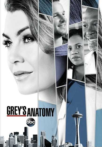 مشاهدة مسلسل Greys Anatomy موسم 14 حلقة 2