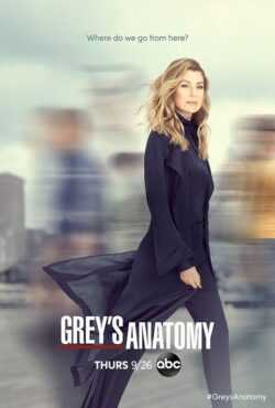 مشاهدة مسلسل Greys Anatomy موسم 16 حلقة 20