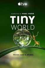 Tiny World