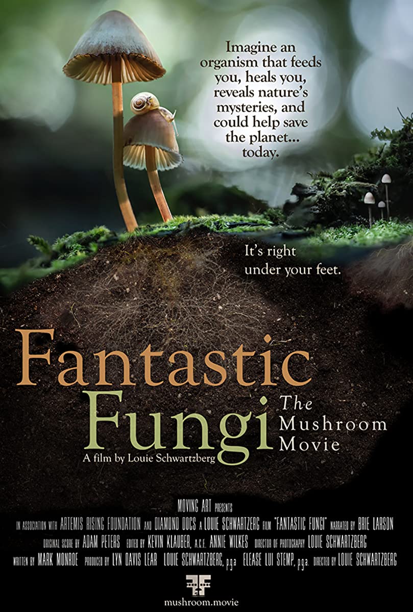 مشاهدة فيلم Fantastic Fungi 2019 مترجم