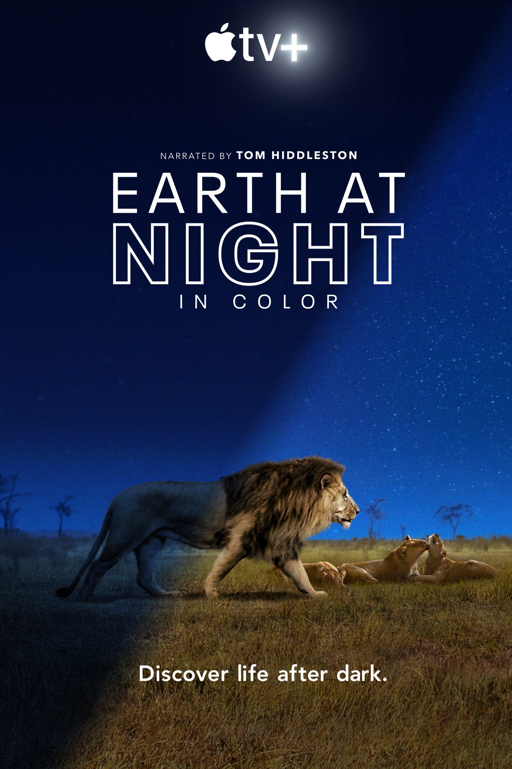 مشاهدة مسلسل Earth at Night in Color موسم 1 حلقة 1