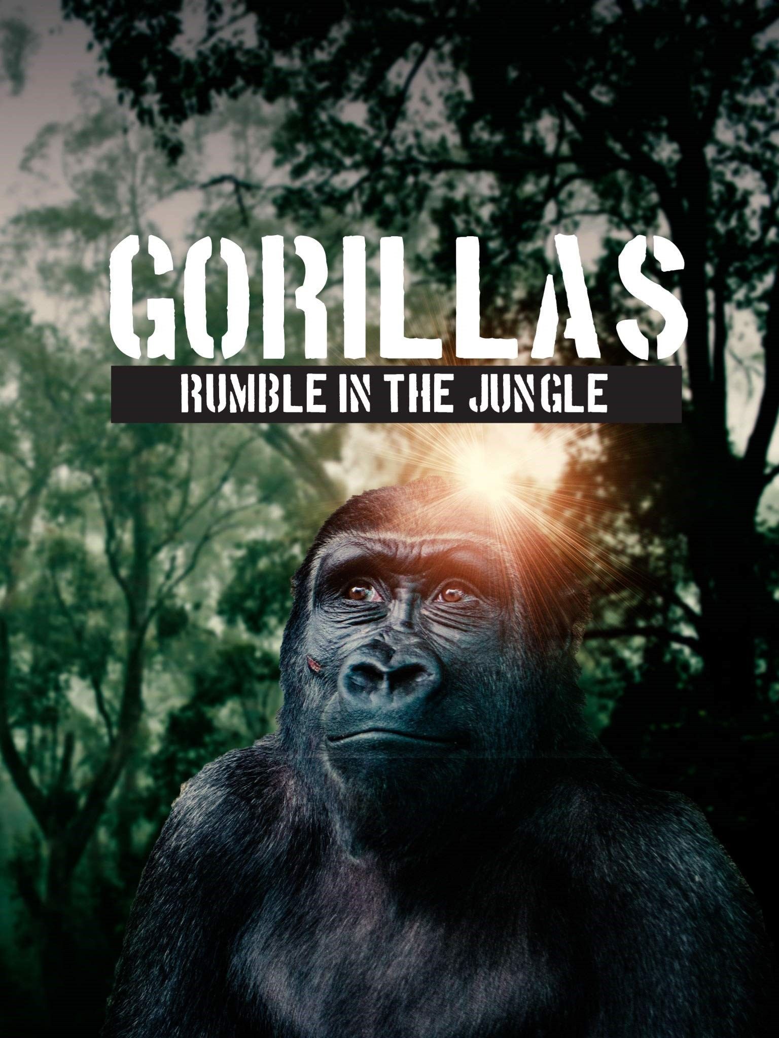 مشاهدة فيلم Gorillas: Rumble in the Jungle 2020 مترجم