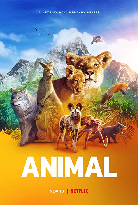 مشاهدة مسلسل Animal موسم 1 حلقة 4 والاخيرة