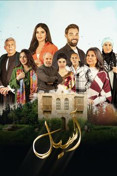 مشاهدة مسلسل اسيل حلقة 12