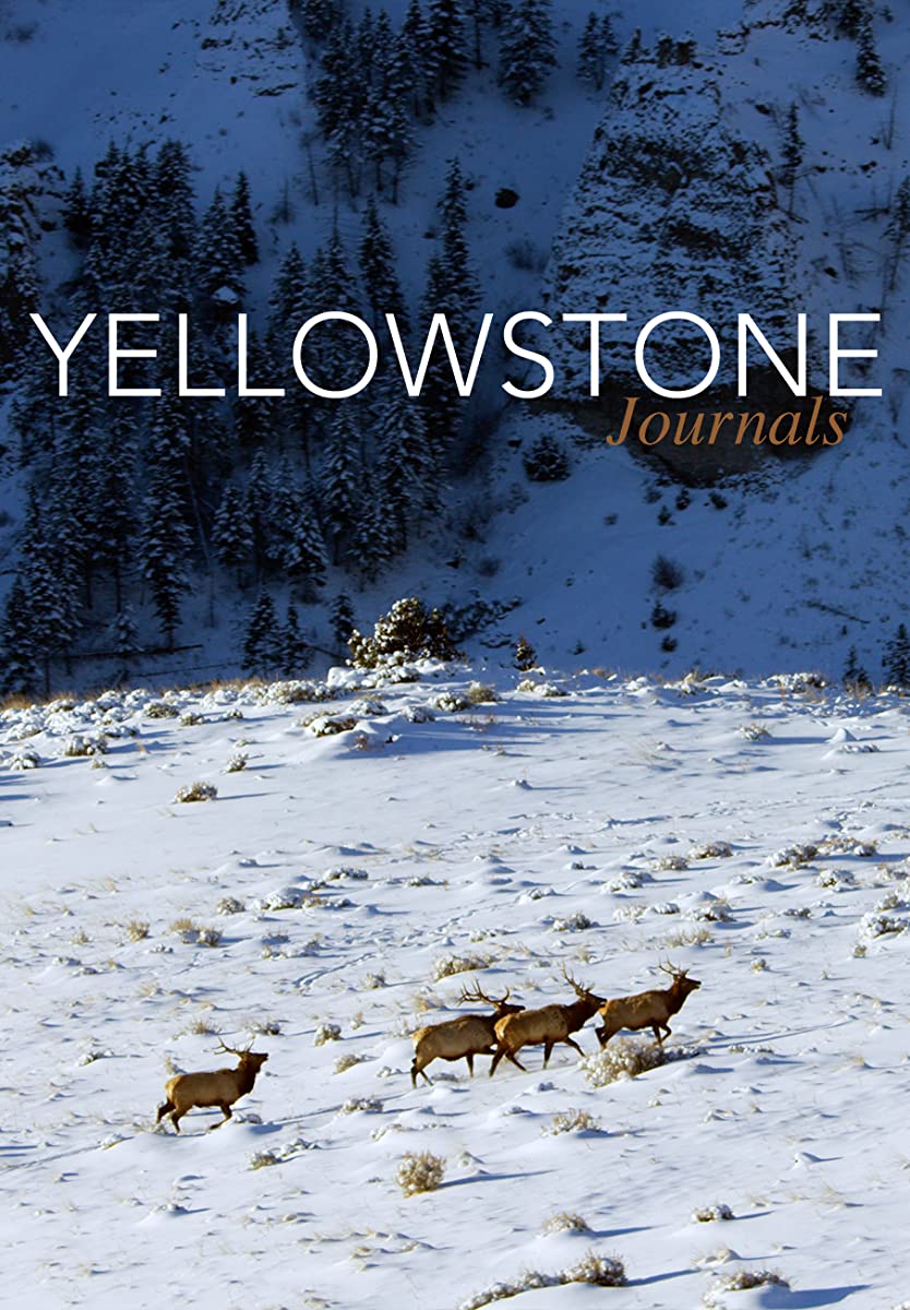 مسلسل Yellowstone موسم 5 حلقة 13