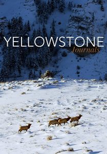 Yellowstone