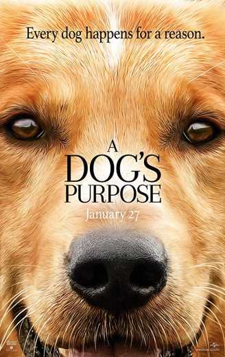 A Dog’s Purpose (2017)