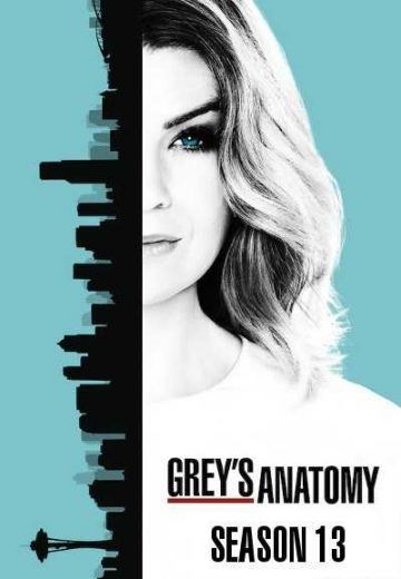 مشاهدة مسلسل Greys Anatomy موسم 13 حلقة 4 (2005)