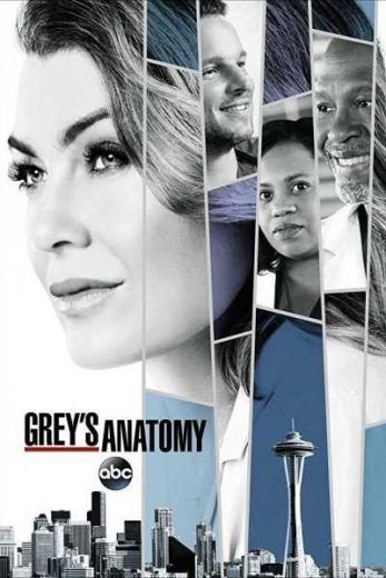 مشاهدة مسلسل Greys Anatomy موسم 14 حلقة 2 (2005)