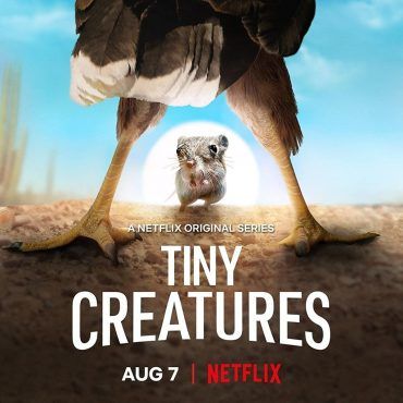 مشاهدة مسلسل Tiny Creatures موسم 1 حلقة 3 (2020)