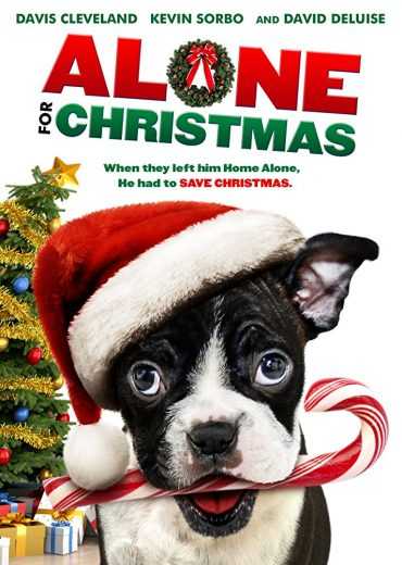 مشاهدة فيلم Alone for Christmas 2013 مترجم (2013)