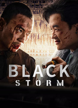 مشاهدة فيلم Black Storm 2024 مترجم (2024)