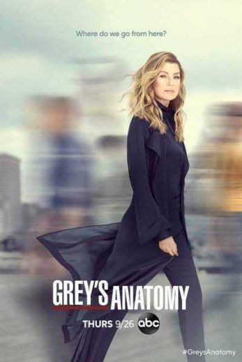 مشاهدة مسلسل Grey’s Anatomy موسم 21 حلقة 16 (2024)
